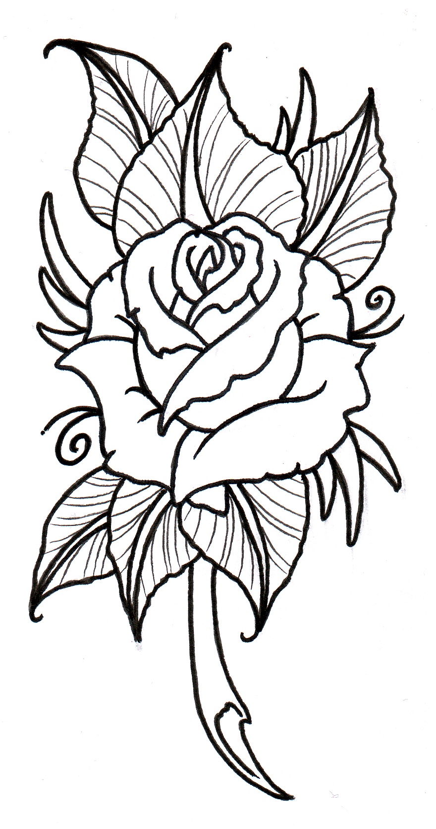 Rose Outlines Free Download Clip Art Free Clip Art on Clipart Library