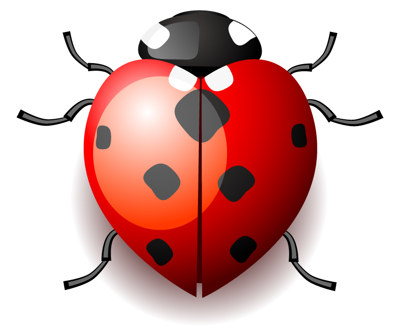 Cartoon Ladybug Vector Illustration | Lazy Drawing