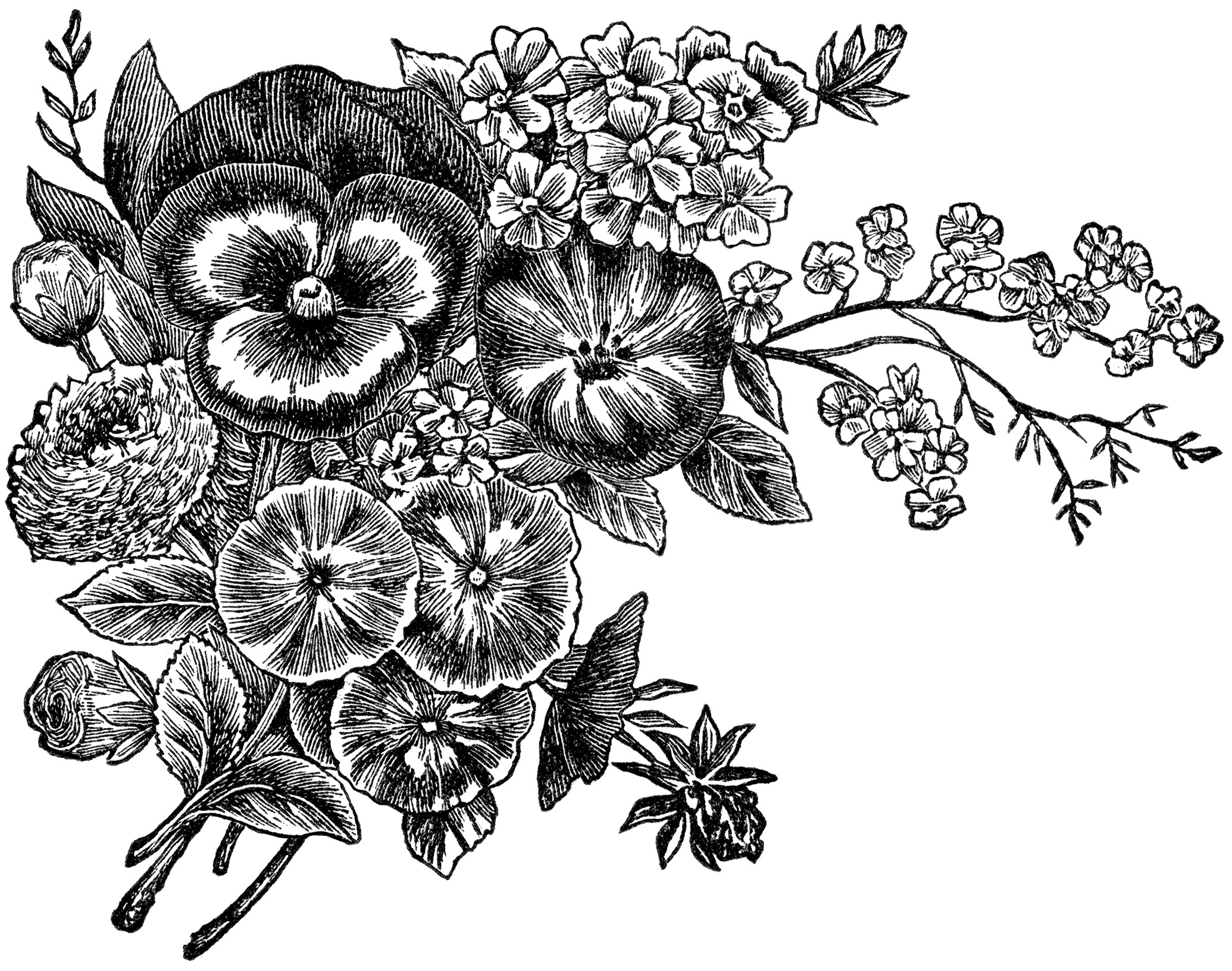 black and white flowers clipart - Free Large Images