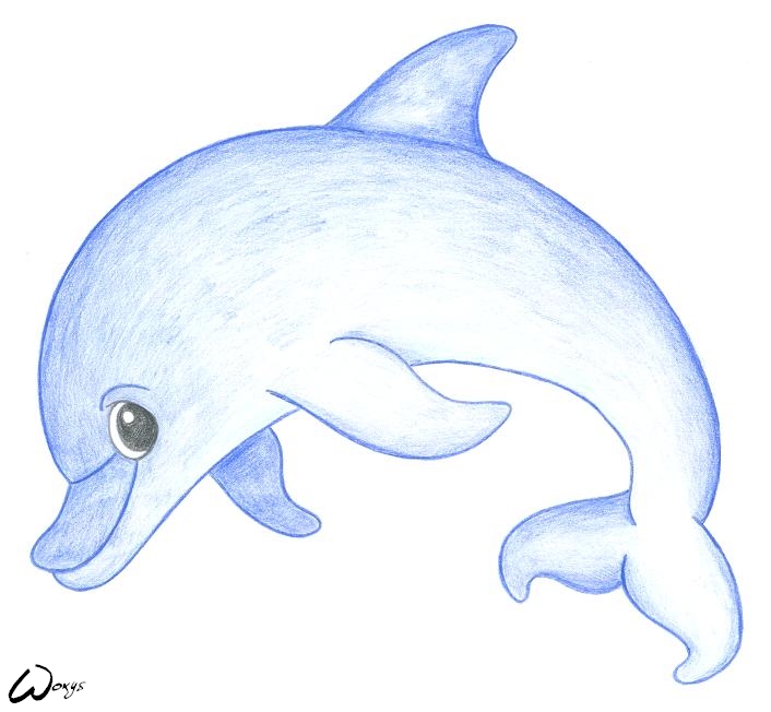 dolphin drawing | Hot lovely wallpapers