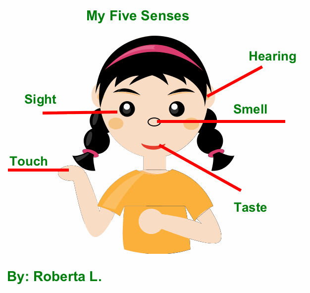 Label Your Five Senses | K-5 Computer Lab