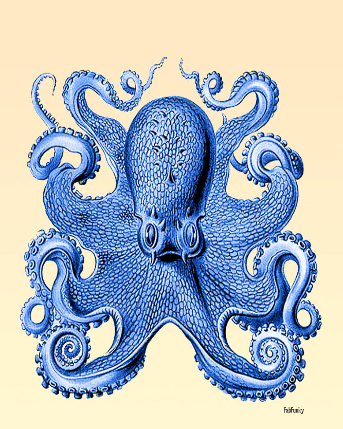 Popular items for vintage octopus 