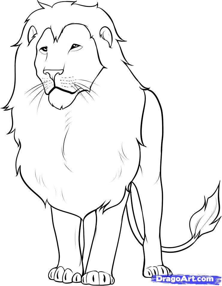 lion drawing easy