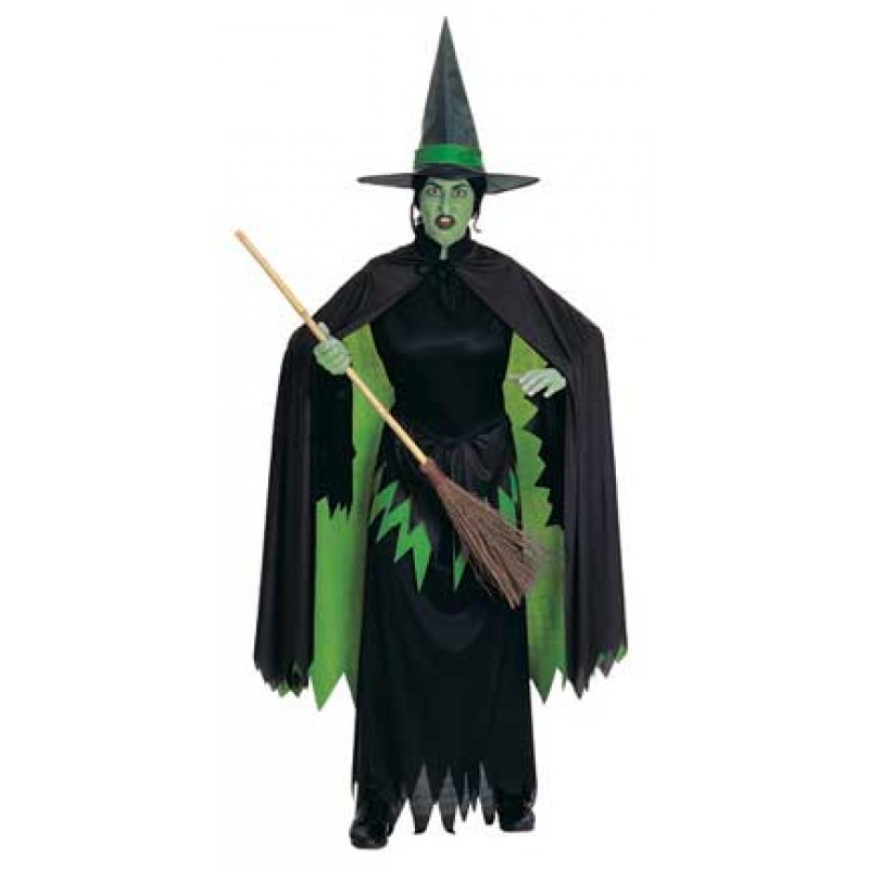 Wicked Witch Adult Costume - Adult Costumes | Cool Costume