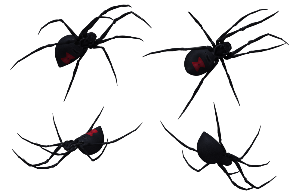 Free Black Widow Spider Art Download Free Black Widow Spider Art Png