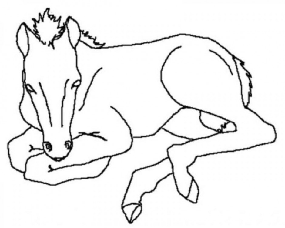 Online Coloring Book Baby Horse Coloring Pages Printable 237519 
