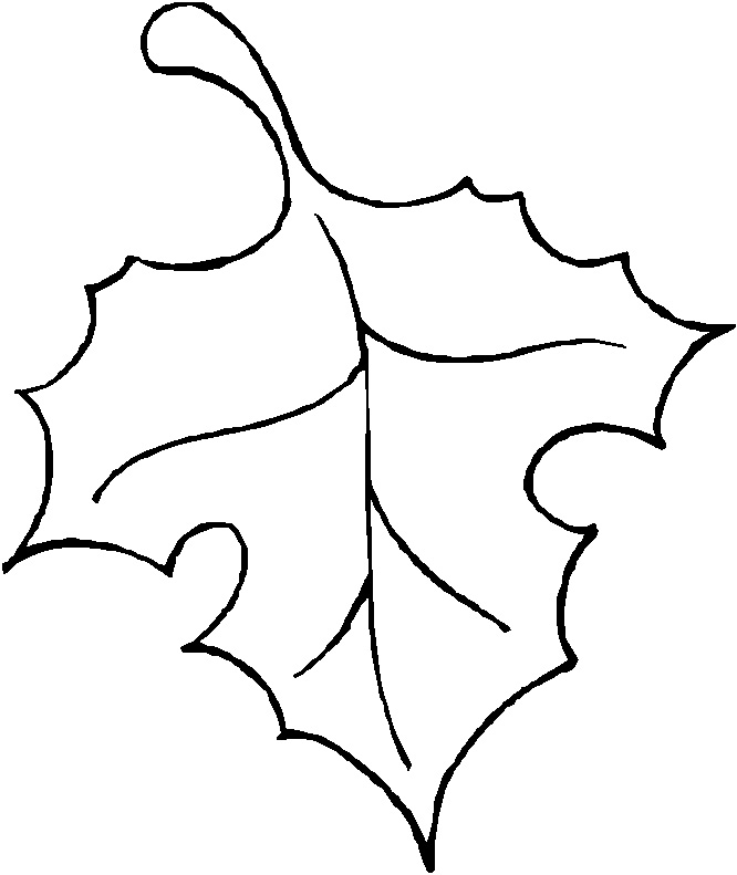 Fall Leaf Clipart Outline