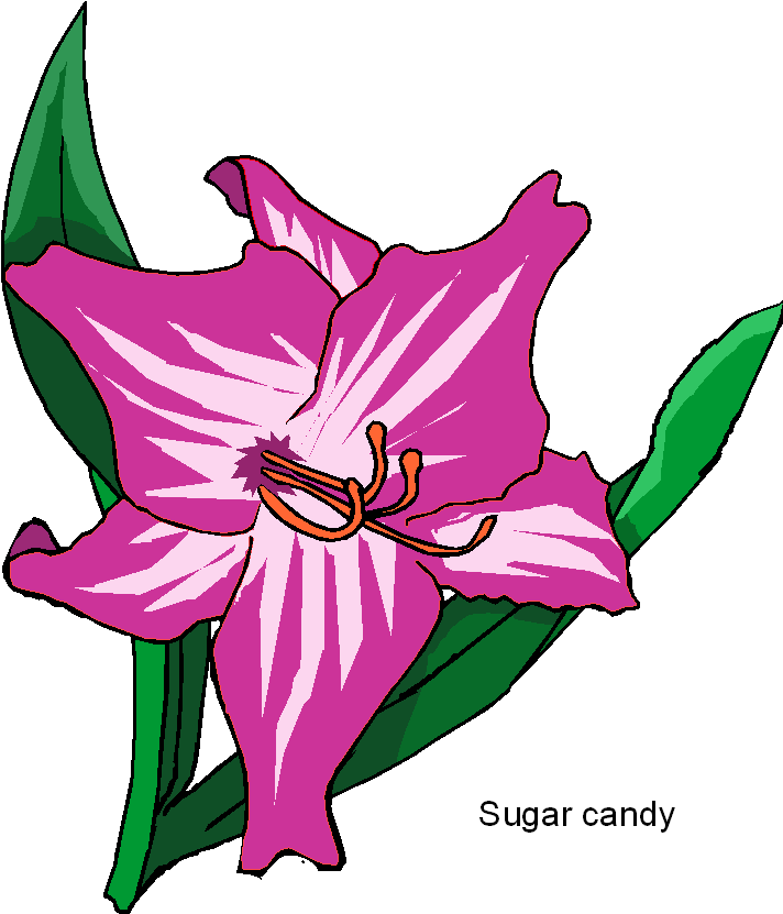 sugar-candy-flower-clipart