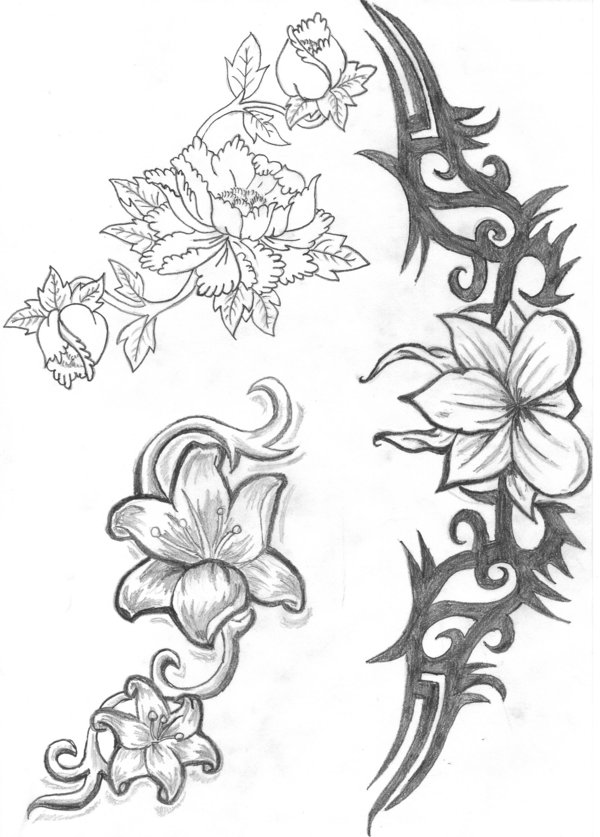Tribal Hawaiian Flower Tattoo Images  Pictures - Becuo
