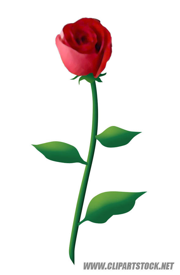 clipart rose bud - photo #30