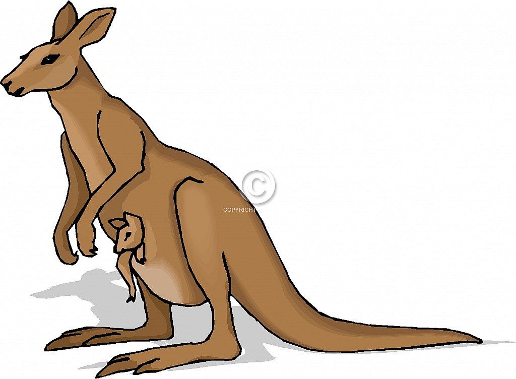 Free Kangaroo Clip Art ? Diehard Images, LLC - Royalty-free Stock 