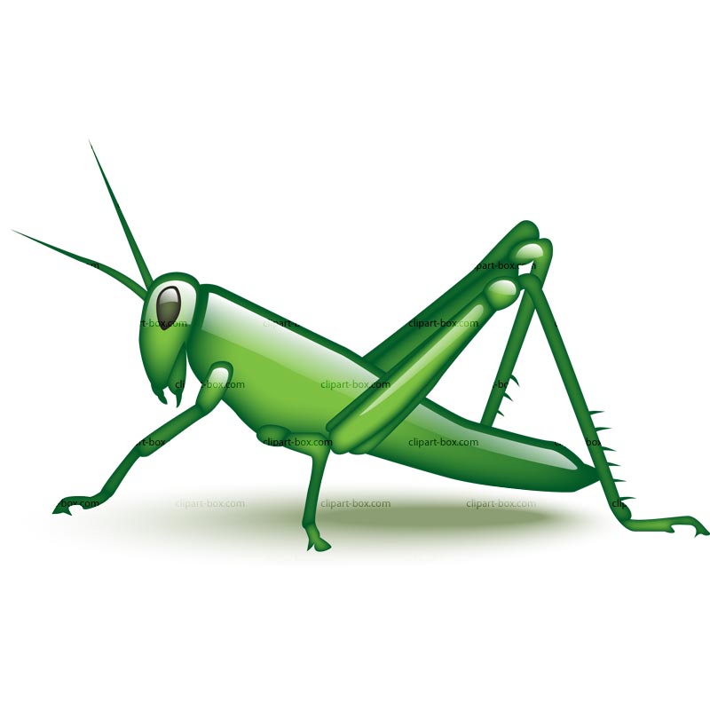 Grasshopper Clipart Black And White | Clipart library - Free Clipart 