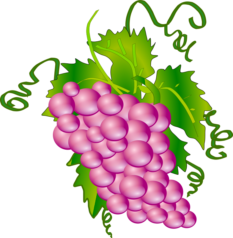 Free to Use  Public Domain Grapes Clip Art