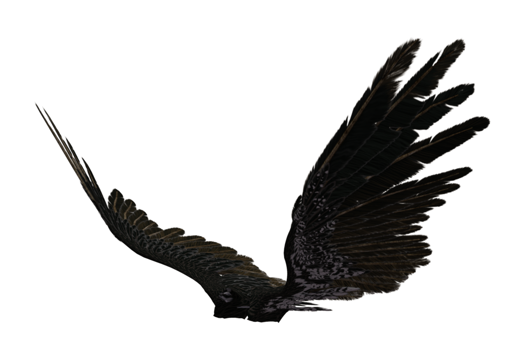 Angel Wing 04 by wolverine041269 on Clipart library