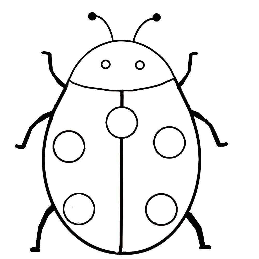 Free Ladybird Outline, Download Free Ladybird Outline png images For Blank Ladybug Template