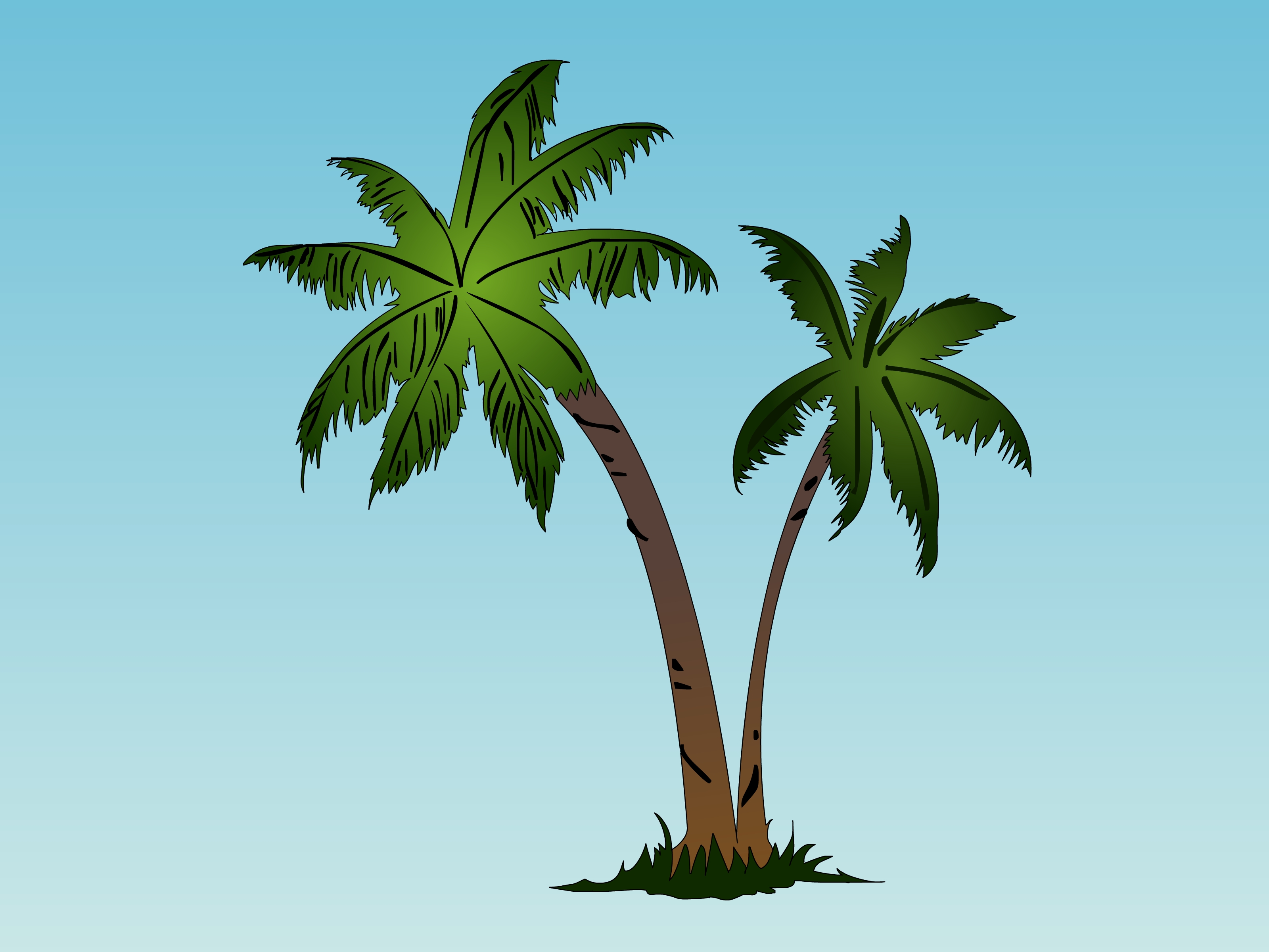 How to Draw a Palm Tree (with Pictures) - wikiHow