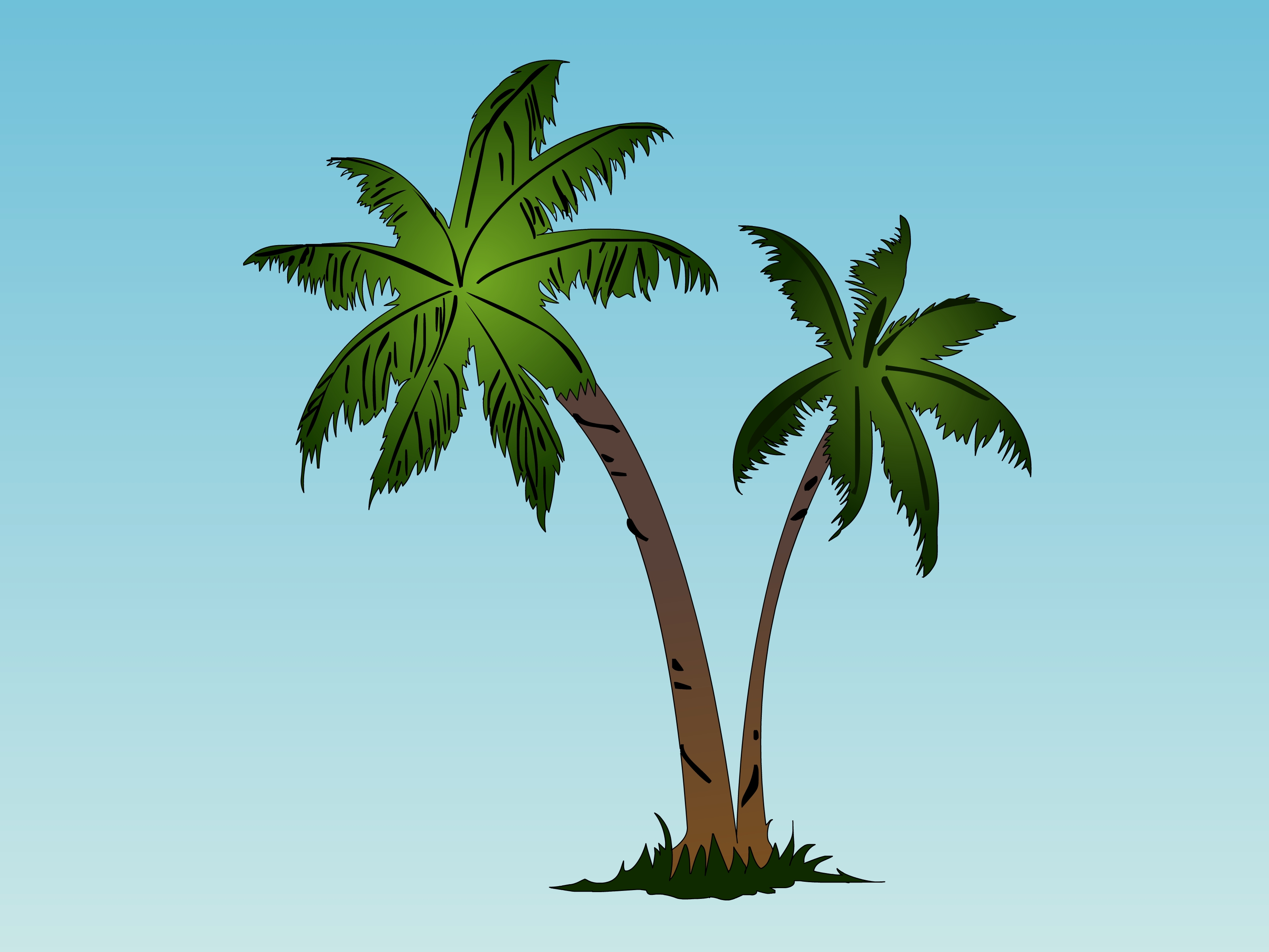 Free Images Of Cartoon Palm Trees, Download Free Images Of Cartoon Palm