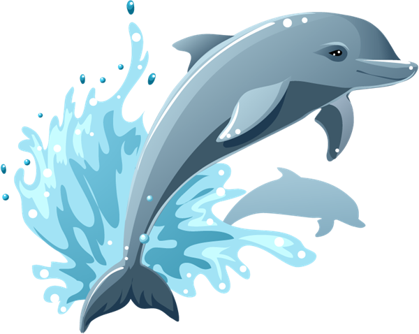 Dolphins Cartoon Vector – Graphics Collection | My Free Photoshop 
