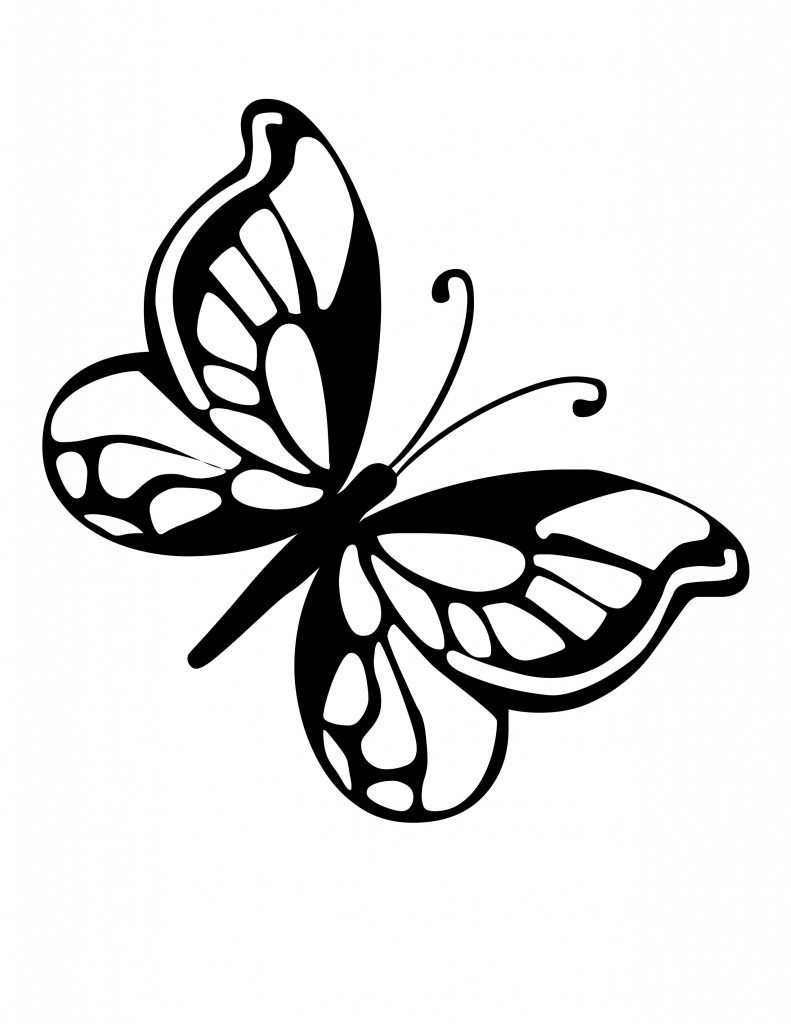 Featured image of post Butterfly Drawing Images Easy