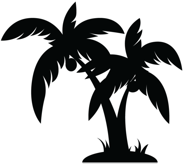 Black And White Palm Trees