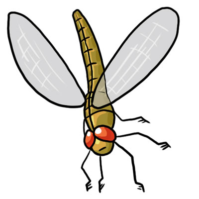 50 FREE Dragonfly Clip Art 16