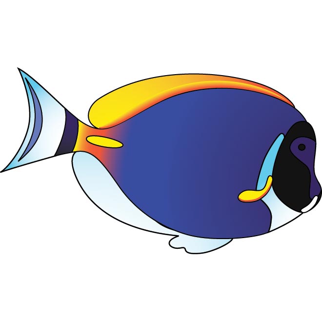 free fish clipart downloads - photo #25
