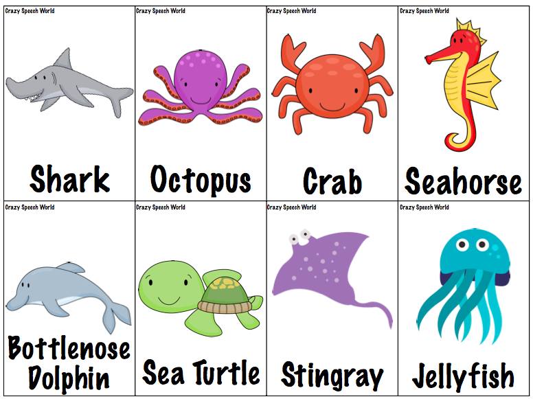 sea animal matching cards for kids - Clip Art Library