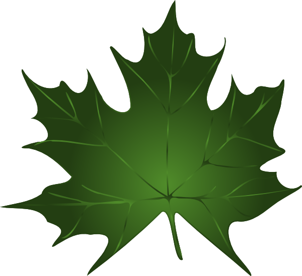 Green Maple Leaf clip art - vector clip art online, royalty free 