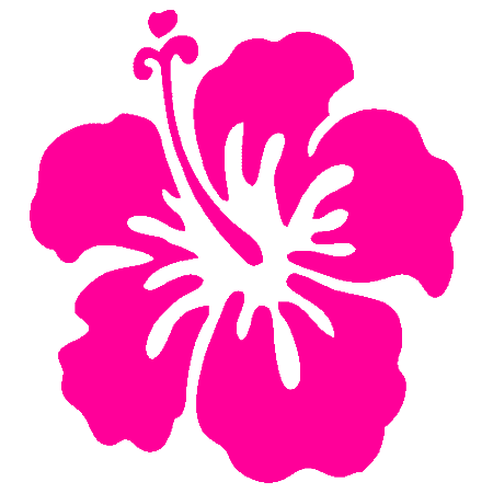 Tropical Flower Clipart, Hawaiian, Daisy, Flower Border, Of 