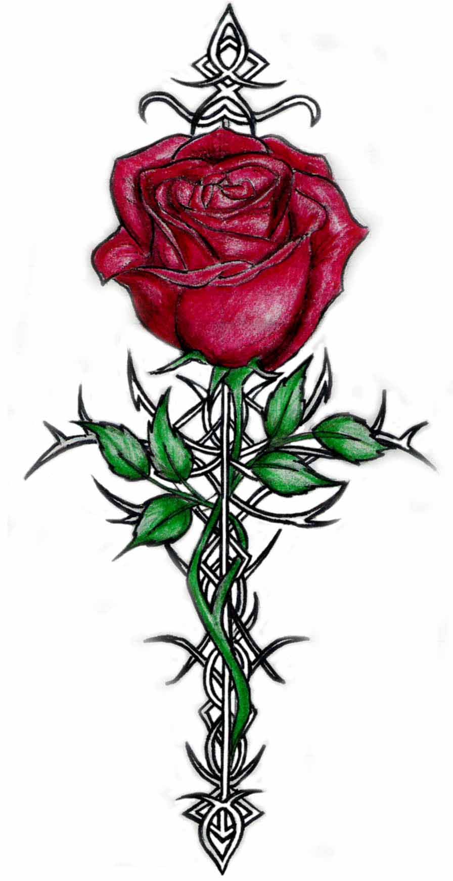 Images For  Heart And Rose Tattoos Designs
