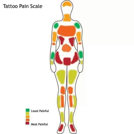 female pain diagram tattoo pain chart - Clip Art Library