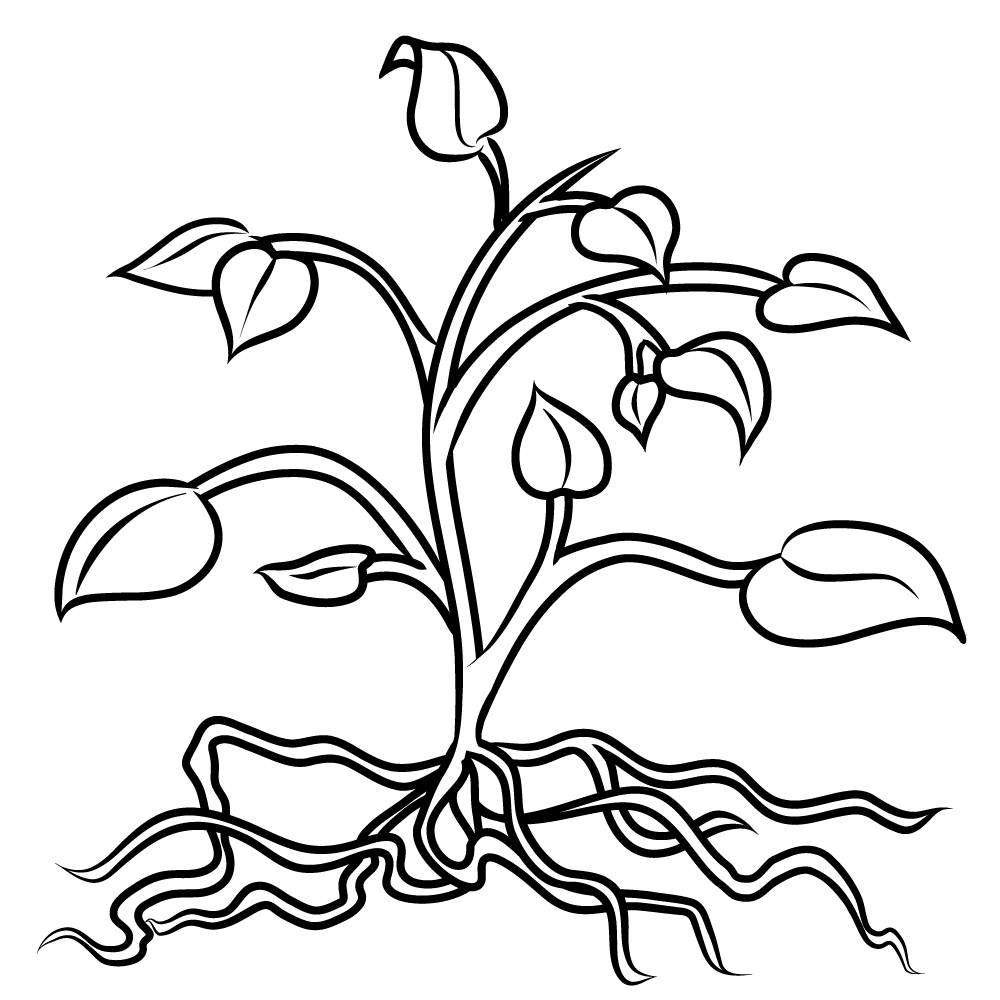 Tree Clip Art With Roots - Clipart library