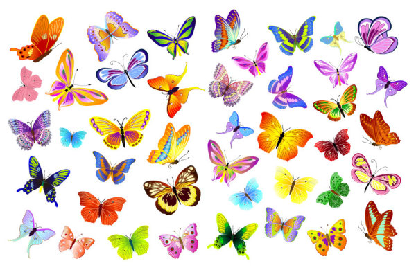 Free Images Of Butterflies