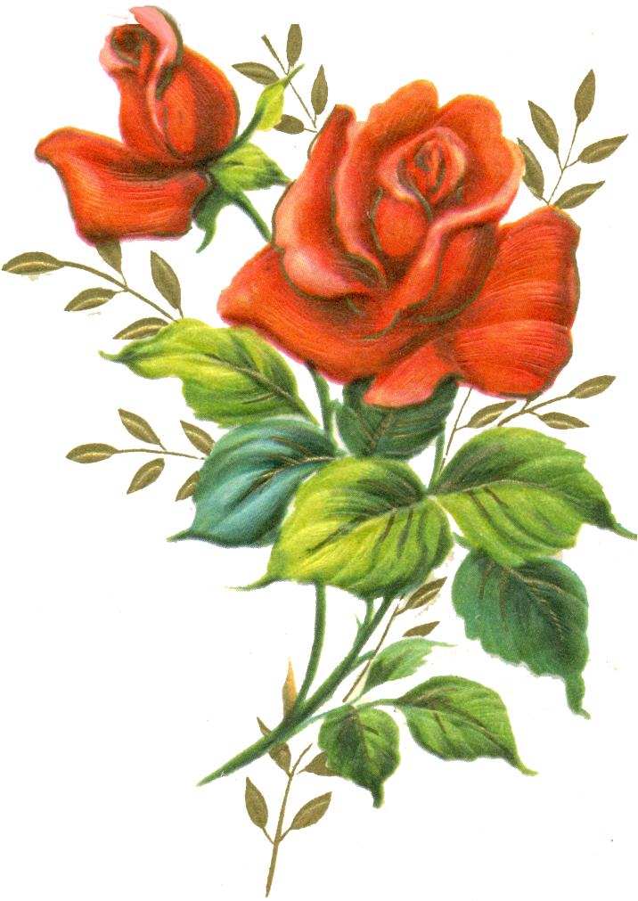 Flowers, Botanical - 1 by kafekafe on Clipart library