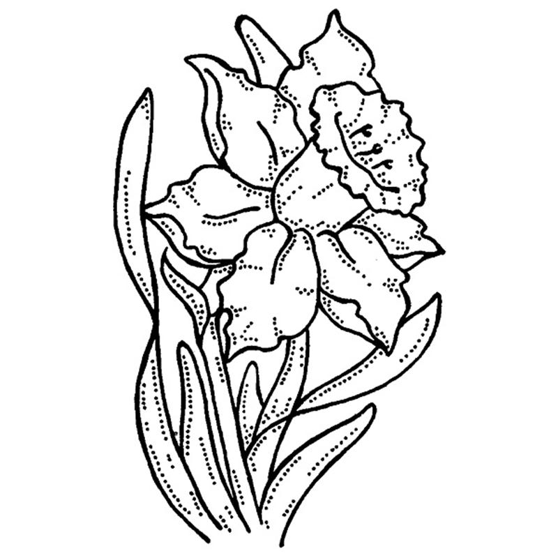 Drawings Of Daffodils