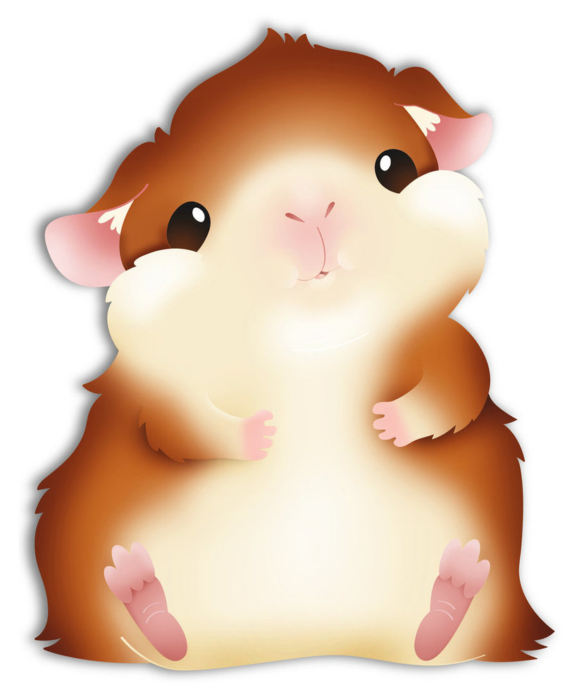 free clip art guinea pig - photo #28