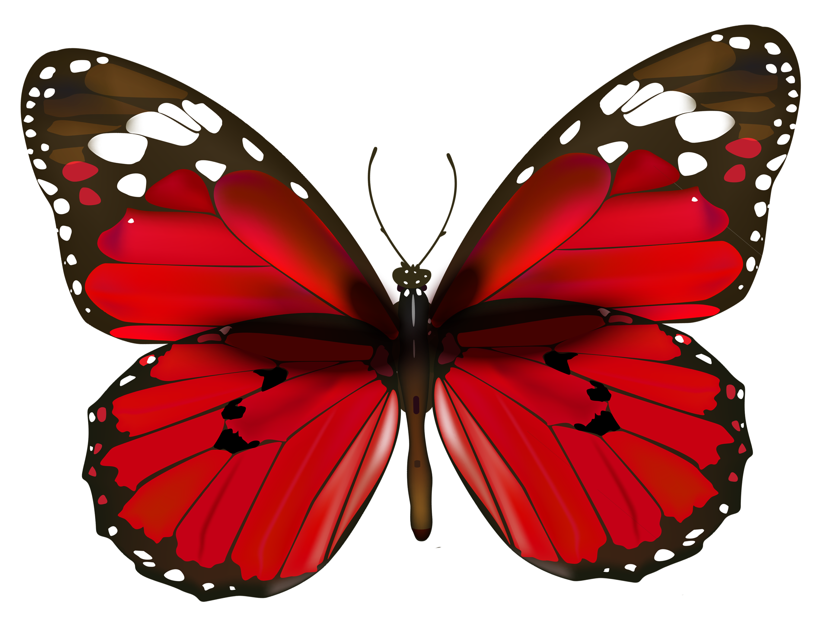 Red Butterfly PNG Clipart