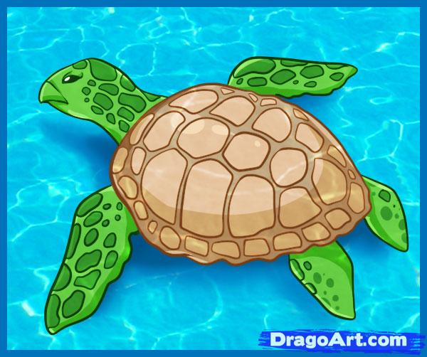 Free Cartoon Sea Turtle, Download Free Cartoon Sea Turtle png images