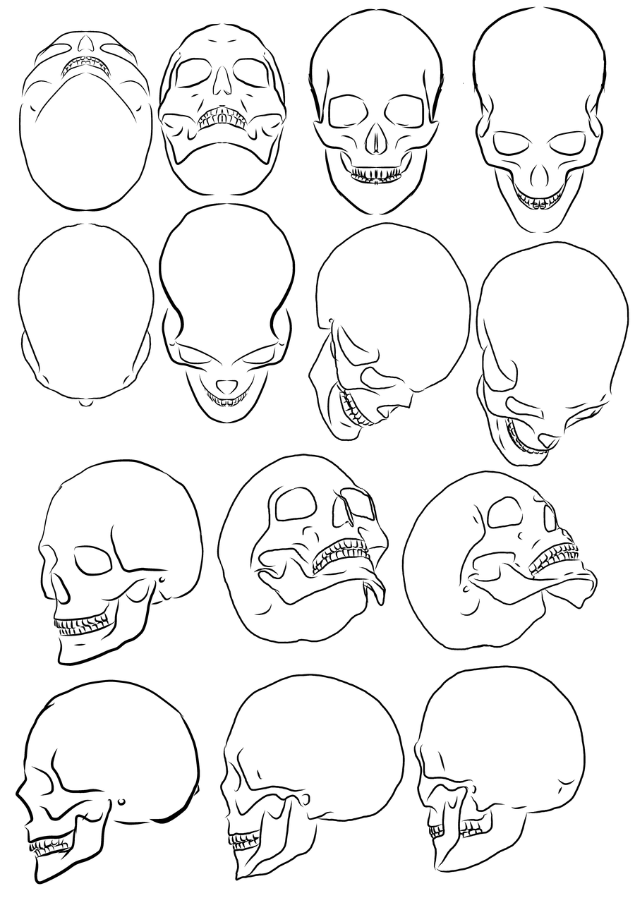 simple human skull drawing Clip Art Library