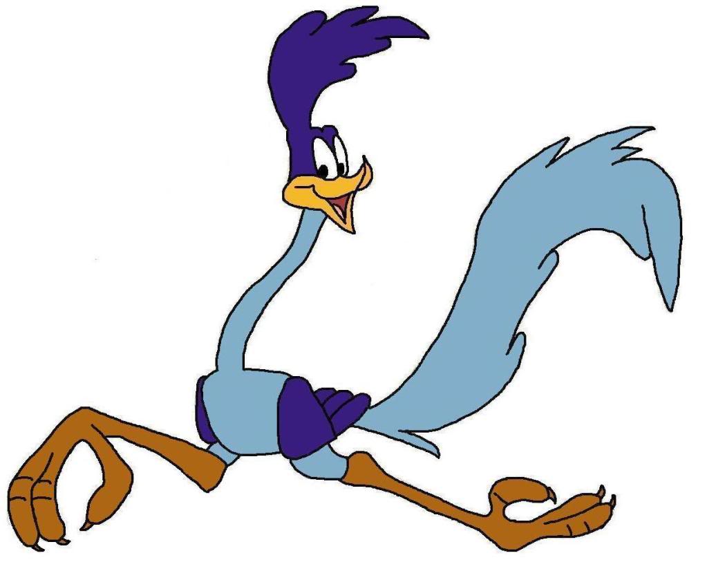 Road Runner Bird Clipart