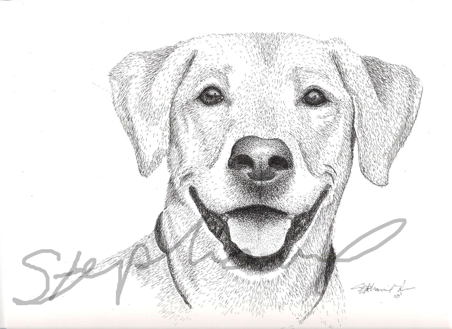 Popular items for custom dog drawings 