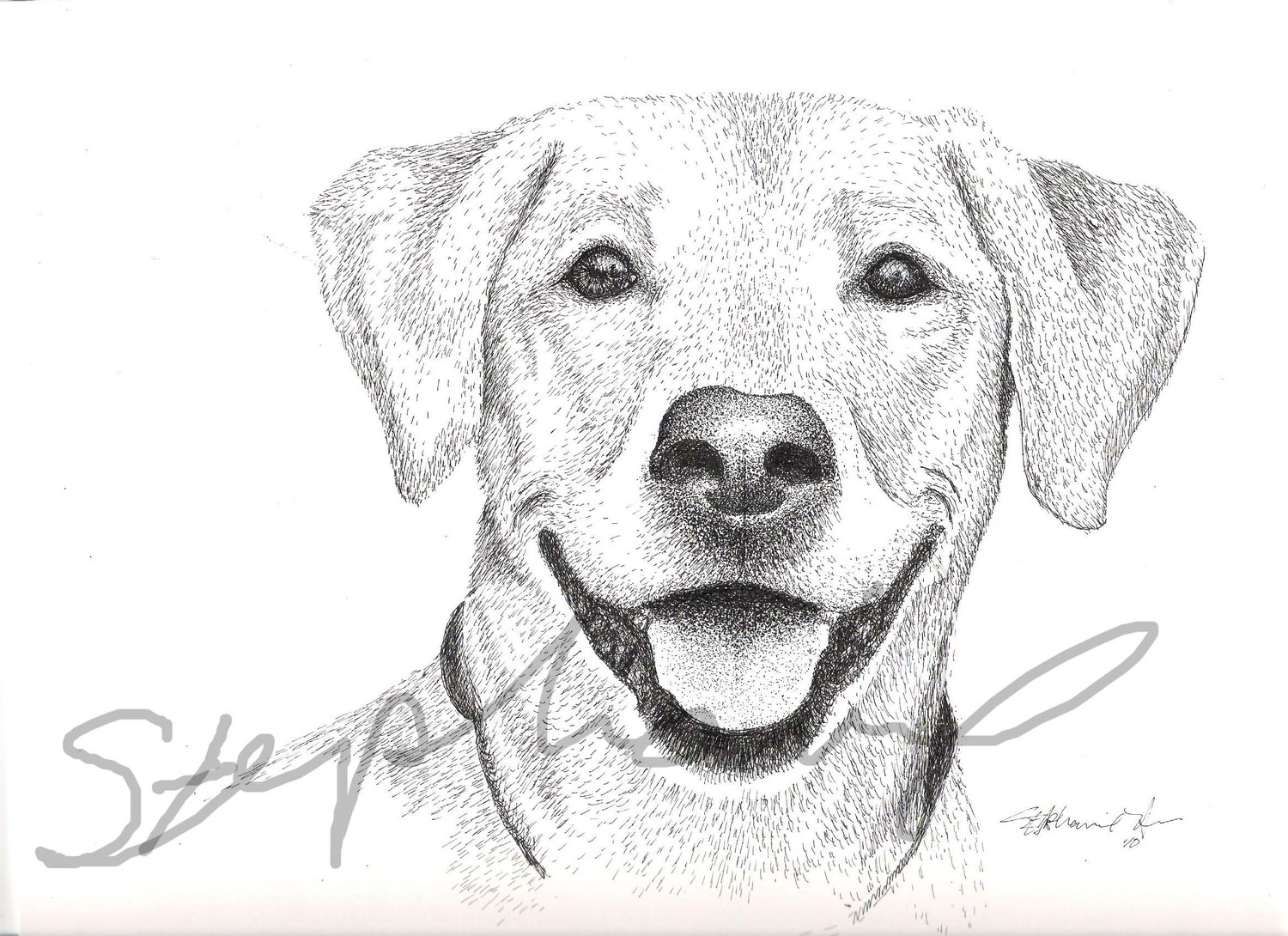 How To Draw A Realistic Dog Step By Step How To Draw Hyper Realistic