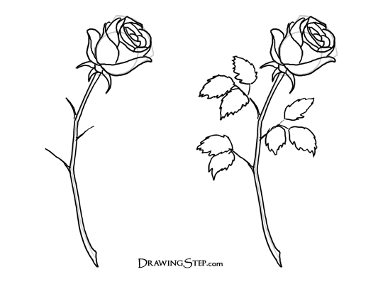 drawing tutorials on Clipart library | How To Draw, Rose and Red Roses