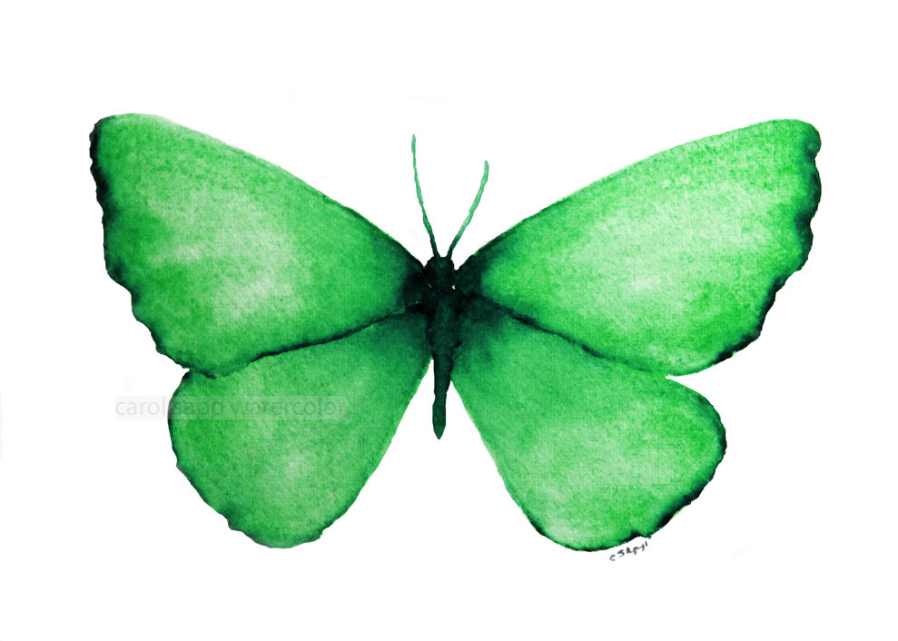 green butterfly clip art - photo #23