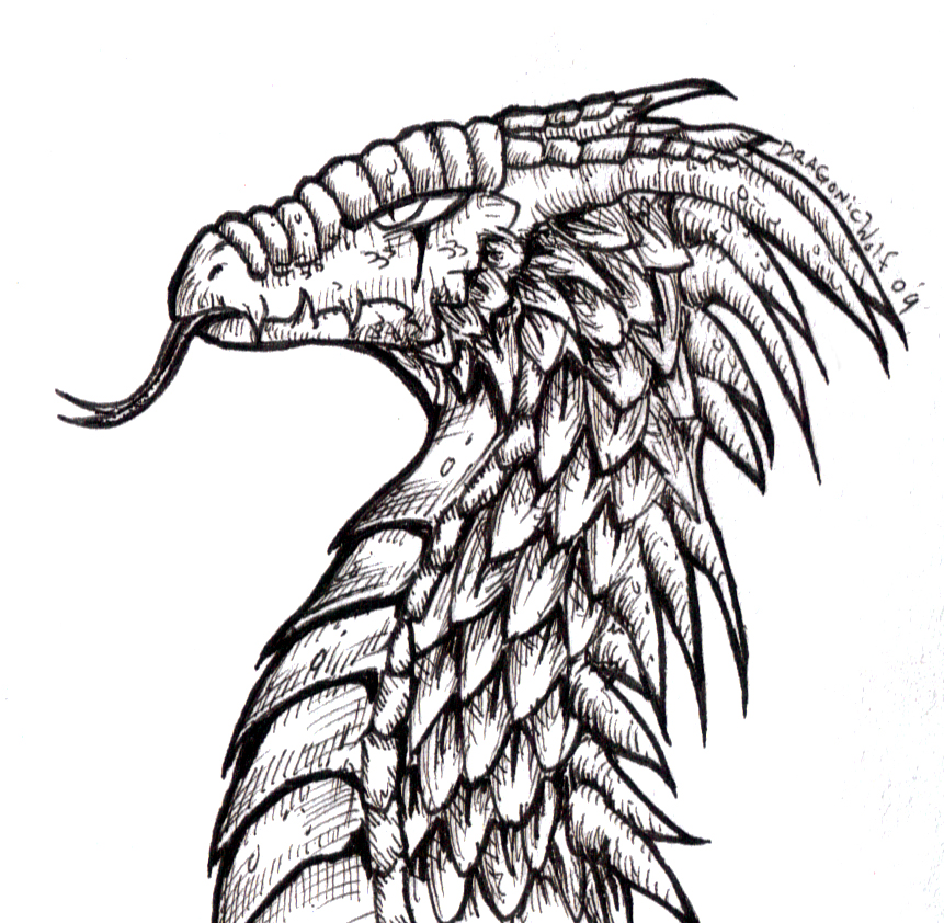 Clip Arts Related To : zombie dragon outline drawing. view all Dragon Line ...