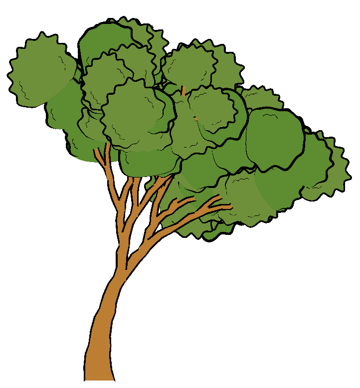 Free Tree Cartoon Pictures, Download Free Tree Cartoon Pictures png images,  Free ClipArts on Clipart Library