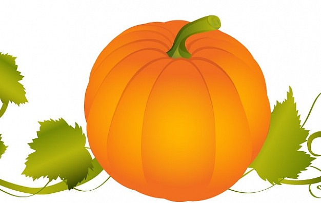 Pumpkin Vector Graphic Vector | Free Download