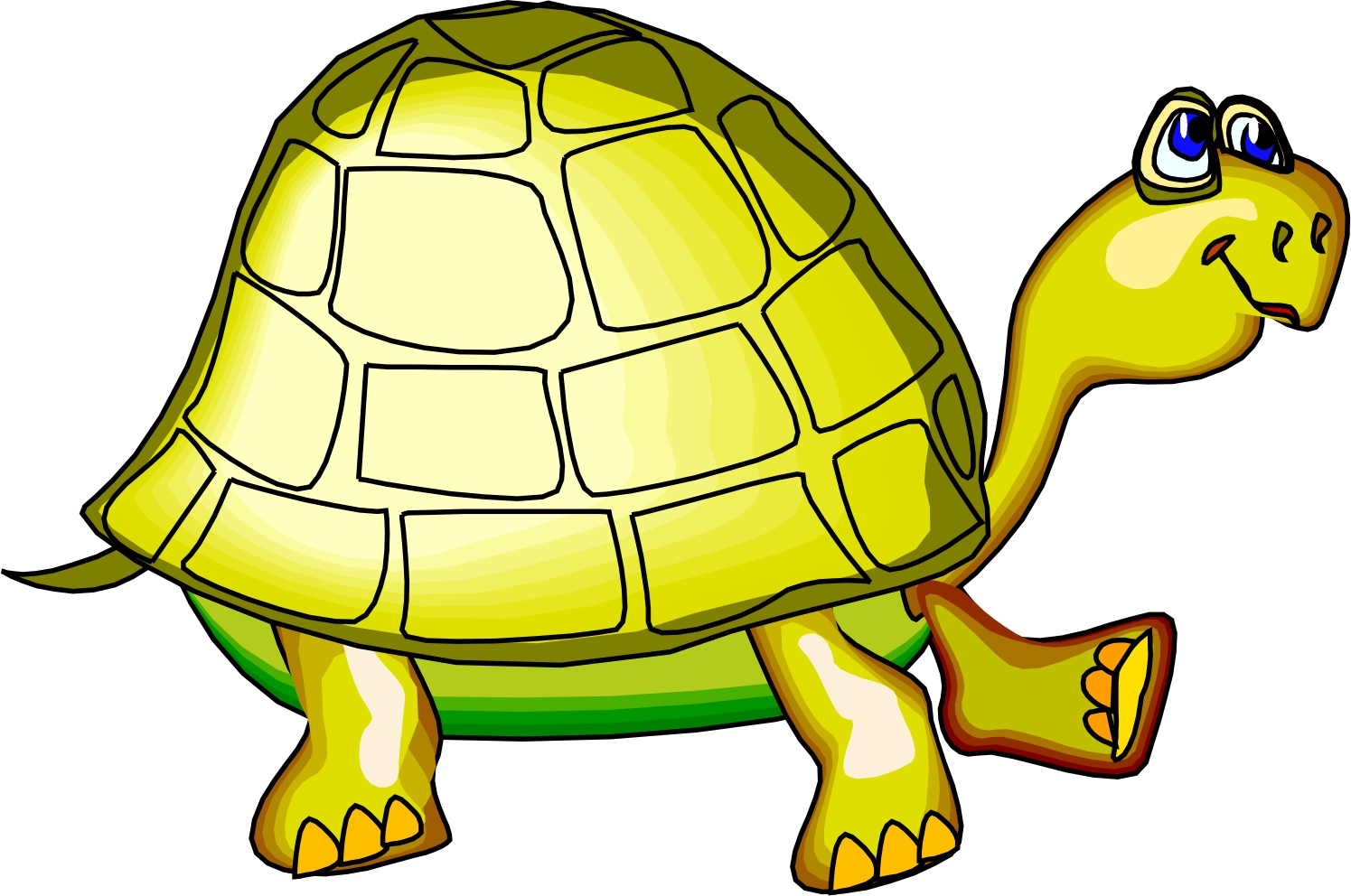 Cartoon Turtle Pics 