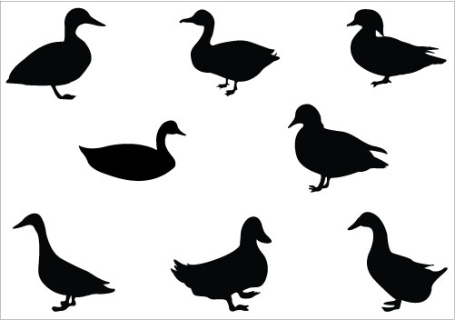 Duck Silhouette Clip Art - Clipart library