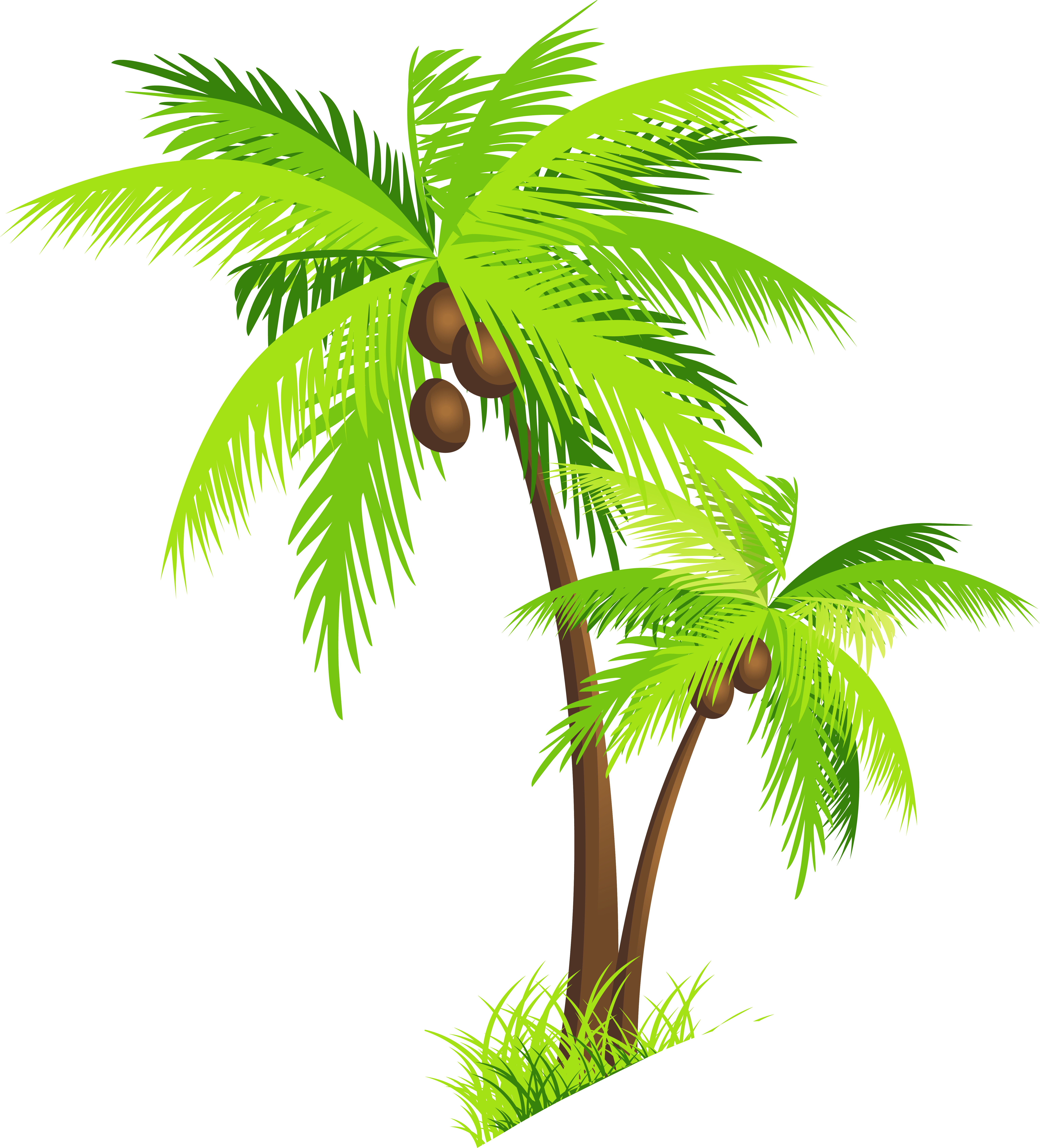 Coconut Tree Template Free Download